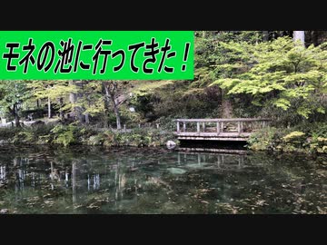 【ゆっくり】観光スポット紹介【モネの池】