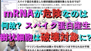 mRNAワクチンが他のワクチンより危険なのは何故? スパイク蛋白を産生した樹状細胞は破壊対象となるのでは?