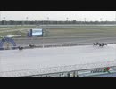 2023年5月18日門別競馬6R ＪＲＡ認定フレッシュチャレンジ ストリーム