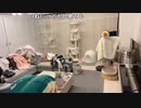 【贅肉ちゃん】だらだら垂れ流し見るの好きな人はここへ【ポスターイベント参加中】。2024年3月9日