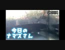 赤ちゃんなまず飼育日記 283日目