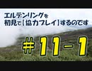 #11-1 エルデンリングを 初見で【協力プレイ】するのです