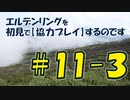 #11-3 エルデンリングを 初見で【協力プレイ】するのです