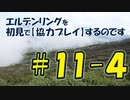 #11-4 エルデンリングを 初見で【協力プレイ】するのです