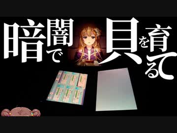 暗闇で貝を育てる　〜赤茶けたブラ〜