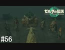 【ゼルダの伝説 Tears of the Kingdom】賢者の誓い【実況】#56