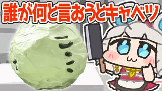 【料理】イラストレーター(中の人)がキャベツ検定に挑戦しましたわ！！【voicevoxキッチン／キャベツ検定】