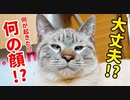こんな表情見たことありません