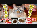 100均の食器とメーカーの食器に同じご飯を入れたら猫はどっちを食べるのか？【夏バテの食欲不振を解消】