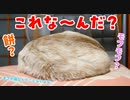 【超難問】東大王でも解けない激ムズクイズです＿＿＿＿＿＿＿＿＿【打倒QuizKnock】