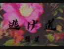 彗星 - 逃げ道 [Official Lyric Video]