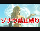 ゾナウ禁止縛りpart21【ティアキン/制限プレイ/ゼルダの伝説ティアーズオブザキングダム】
