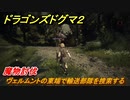 ドラゴンズドグマ２　魔物討伐　ヴェルムントの東端で輸送部隊を捜索する　メインストーリー攻略　＃１３　【Dragon's Dogma2】