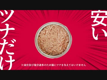 【本人歌唱】猫ミーム 飼い主ver.