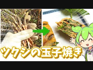 野生のツクシとミツバで玉子焼き！