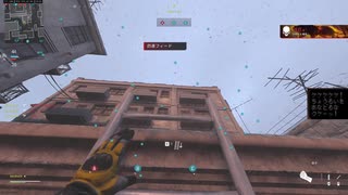 （MW3）やっちゃえスワーム