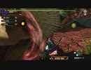 MHXXpart113_逆襲の怪鳥02