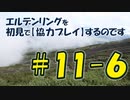 #11-6 エルデンリングを 初見で【協力プレイ】するのです