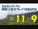 #11-9 エルデンリングを 初見で【協力プレイ】するのです