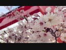 いえない / 初音ミク