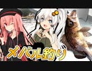 紲星あかりに釣られてみる？ メバル釣り【VOICEROIDフィッシング】