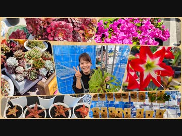 第16回南のまちの植木・園芸市