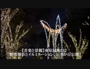 【音楽と景観】東京緑地#33｢野鳥撮影とイルミネーション in光が丘公園｣