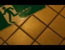 パライソ/中国うさぎ