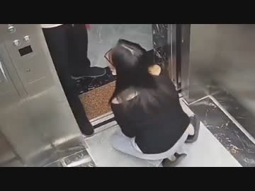 ホモと見るスマホを落としひたすら泣きじゃくる女