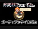 ガーディアンテイルズ12