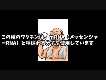 mRNAワクチン仕組み