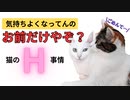 メス猫にとって交尾が辛すぎるワケ人間と猫のS〇Xの違いとは？
