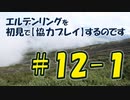#12-1 エルデンリングを 初見で【協力プレイ】するのです