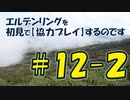 #12-2 エルデンリングを 初見で【協力プレイ】するのです