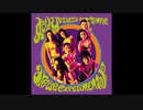 Acid Mothers Temple - Are We Experimental?