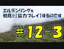 #12-3 エルデンリングを 初見で【協力プレイ】するのです