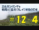 #12-4 エルデンリングを 初見で【協力プレイ】するのです