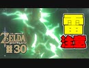 【ゼルダの伝説 BotW】#30　悪天候につき！雷注意！！