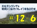 #12-6 エルデンリングを 初見で【協力プレイ】するのです