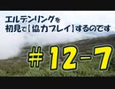 #12-7 エルデンリングを 初見で【協力プレイ】するのです