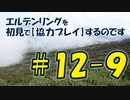 #12-9 エルデンリングを 初見で【協力プレイ】するのです