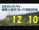 #12-10 エルデンリングを 初見で【協力プレイ】するのです