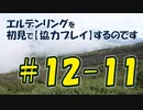 #12-11 エルデンリングを 初見で【協力プレイ】するのです