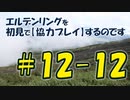 #12-12 エルデンリングを 初見で【協力プレイ】するのです