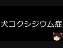 【ゆっくり朗読】ゆっくりさんと不思議な病気 その638