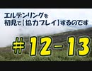 #12-13 エルデンリングを 初見で【協力プレイ】するのです