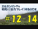 #12-14 エルデンリングを 初見で【協力プレイ】するのです