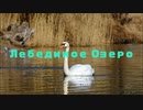 Лебединое Oзеро