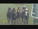 2024 高松宮記念 (GⅠ)　マッドクール