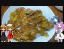 【ルーミアの食レポ】チャツネの入ったおうちカレー